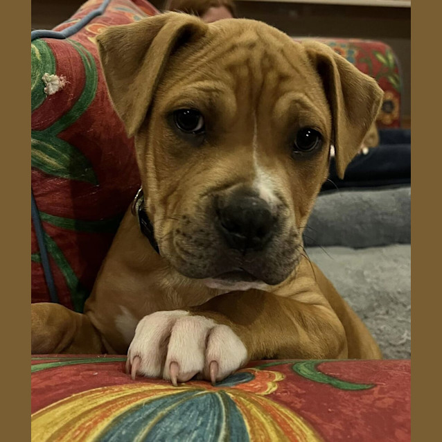 Photo of Cleo