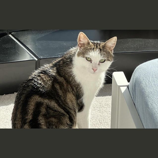 Photo of Liza