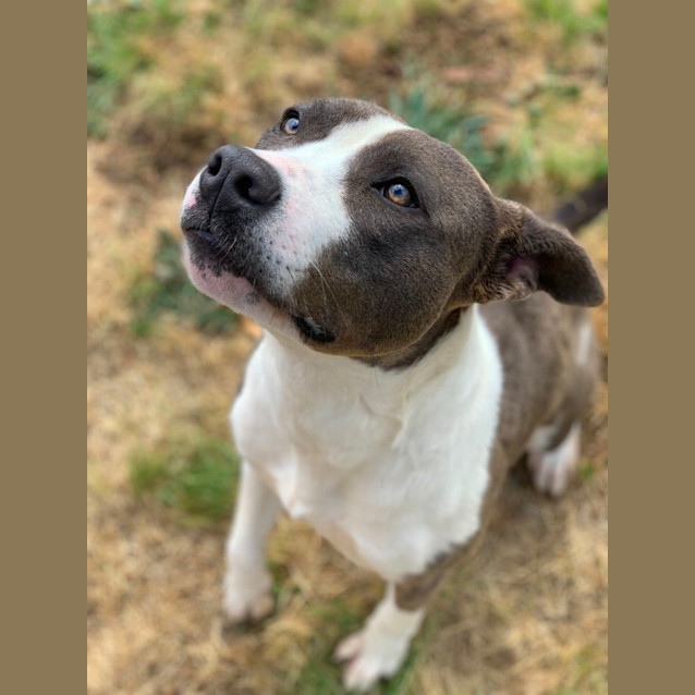 Photo of Lolly
