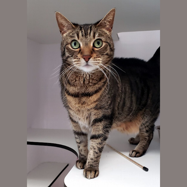 Photo of Willow Sua011619