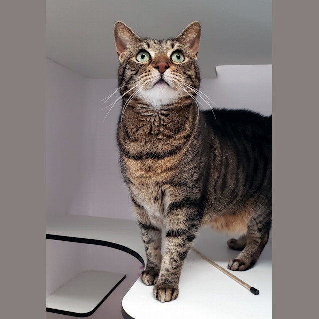 Photo of Willow Sua011619