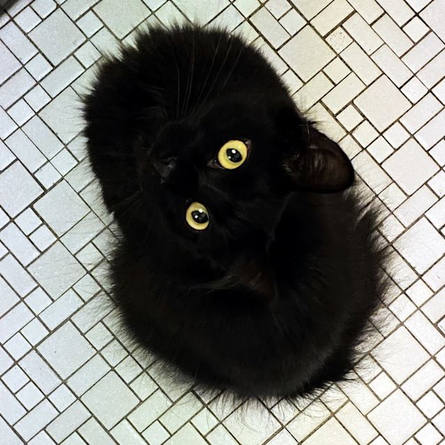 Photo of Darla Sta011176