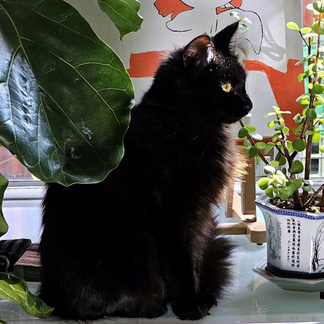 Photo of Darla Sta011176