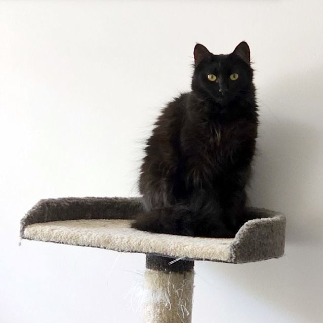 Photo of Darla Sta011176