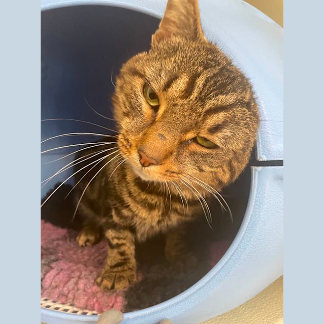 Photo of 🌻George F02679 🌻