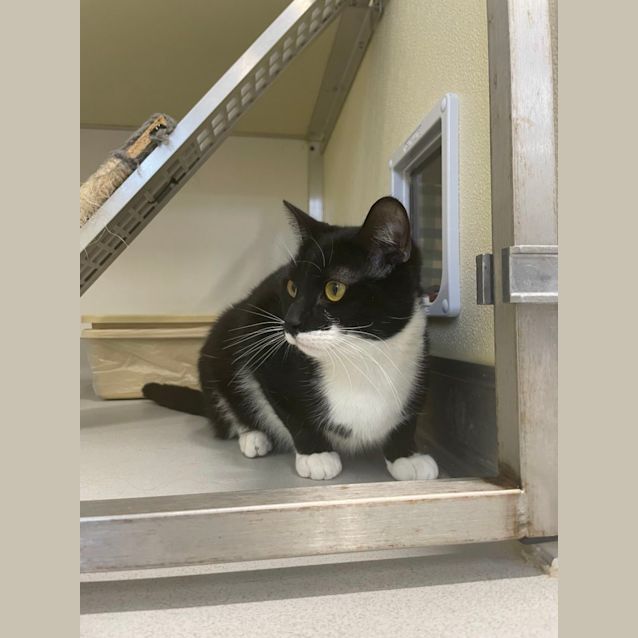 Photo of 🍩 Tyler F02575 🍩