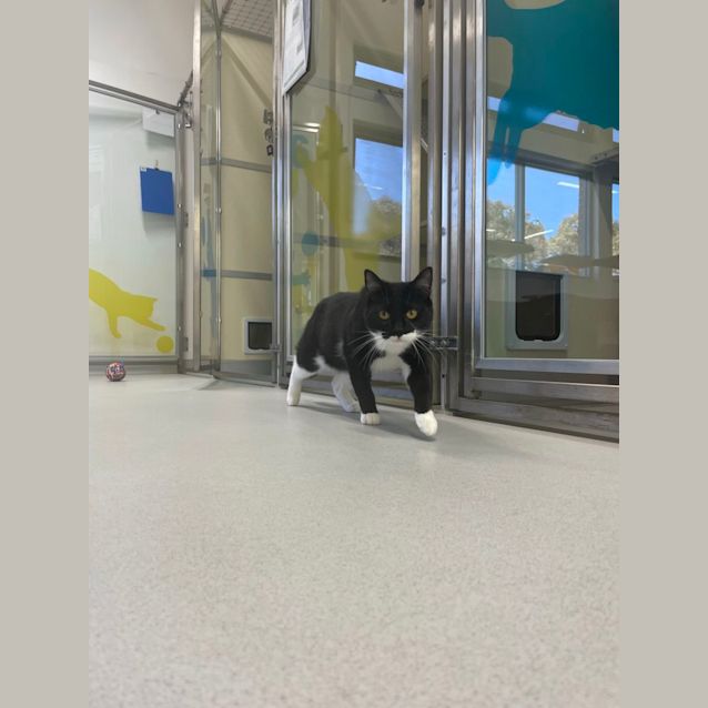 Photo of 🍩 Tyler F02575 🍩