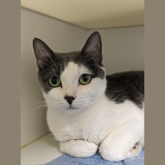 Photo of 🎀 Penelope F02667 🎀