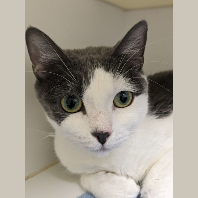 Photo of 🎀 Penelope F02667 🎀