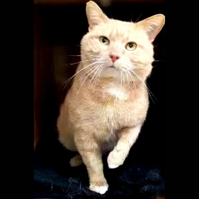 Photo of Gregory   Located In Preston