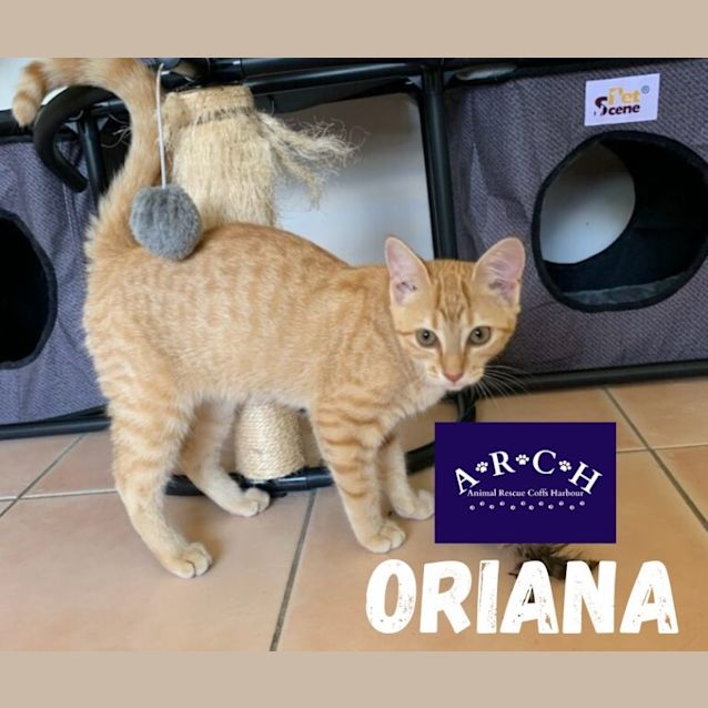 Photo of Oriana