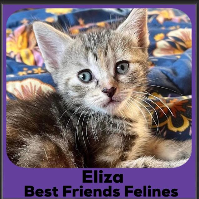 Photo of Eliza