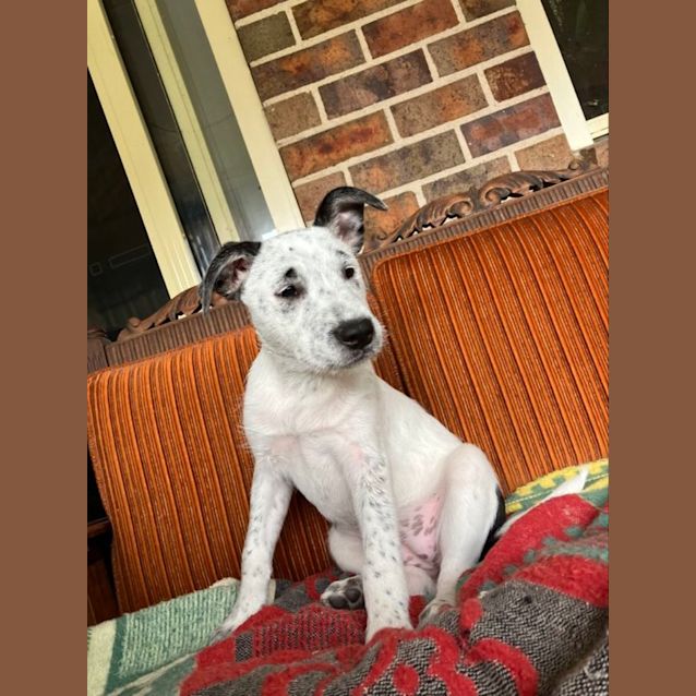 Photo of Lily