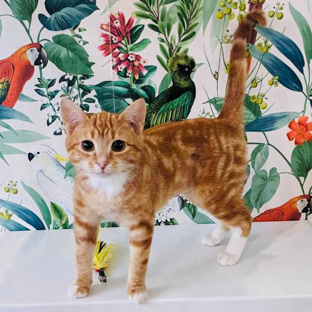 Photo of Steve   Located In Reservoir