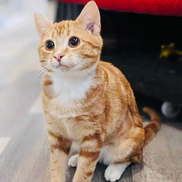 Photo of Steve   Located In Reservoir