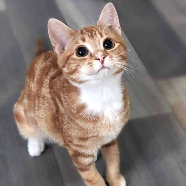 Photo of Steve   Located In Reservoir