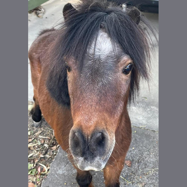 Photo of Todd