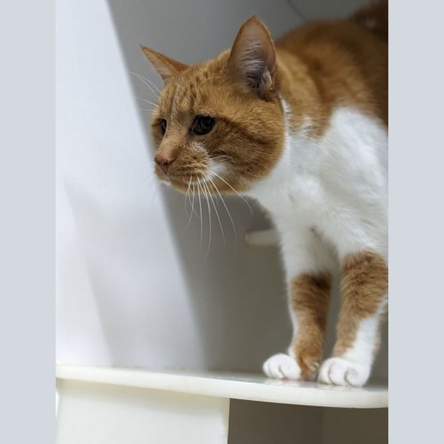 Photo of 🍷 Jesaulenko F02664 🍷