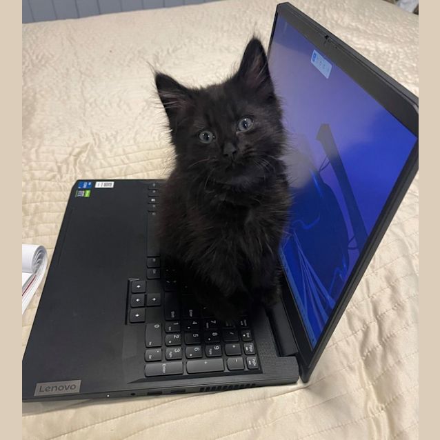 Photo of Chidi