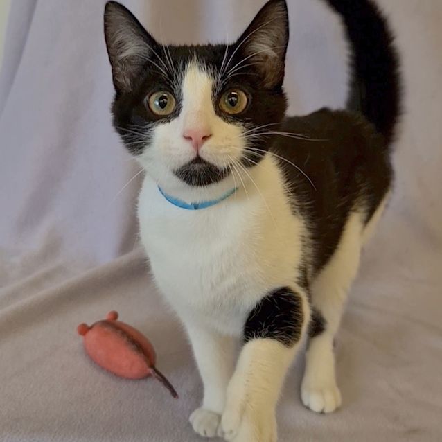 Photo of Ernie