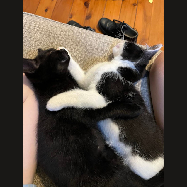 Photo of Winnie And Bear