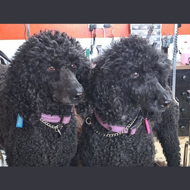 Photo of Lola And Eva