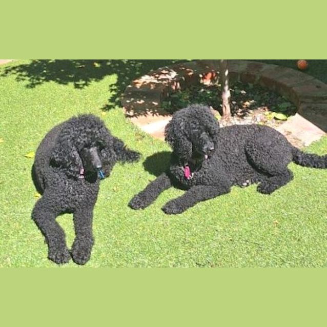 Photo of Lola And Eva