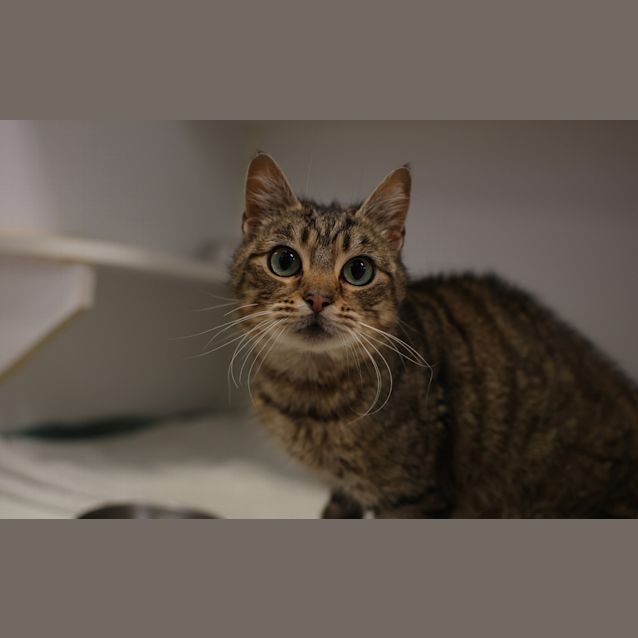 Photo of Jemima
