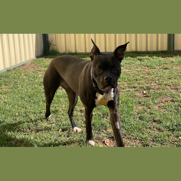 Photo of Echo