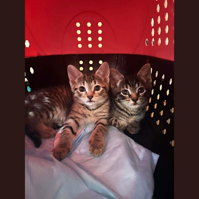 Photo of Dottie & Dorothy 