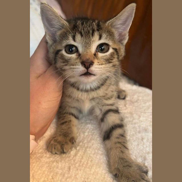 Photo of Dottie & Dorothy 