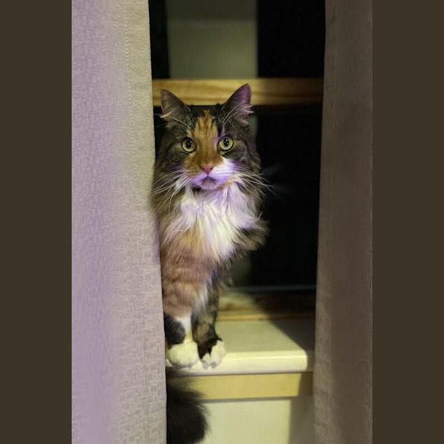 Photo of Kiah