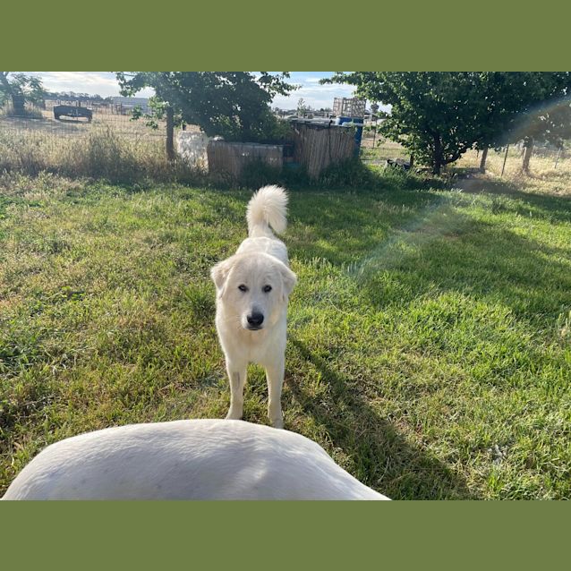 Photo of Reggie