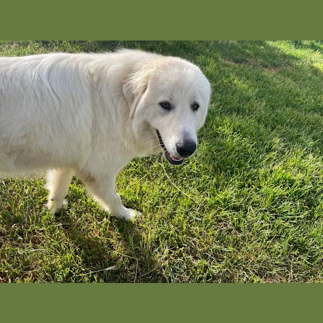 Photo of Reggie