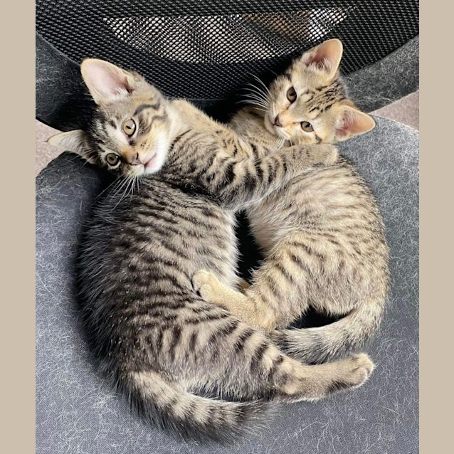 Photo of Dottie & Dorothy 