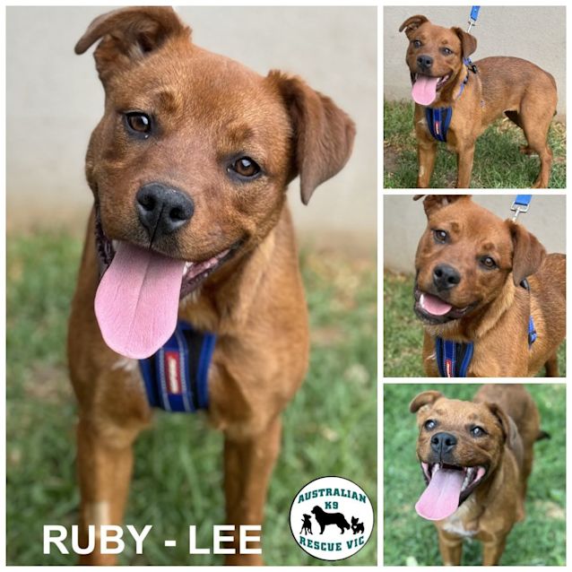 Photo of Ruby  Lee 