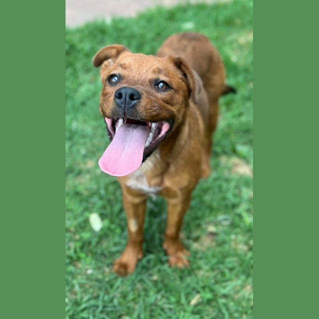Photo of Ruby  Lee 