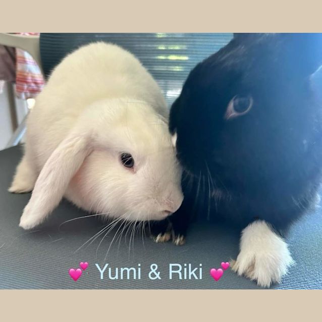 Photo of Yumi And Riki