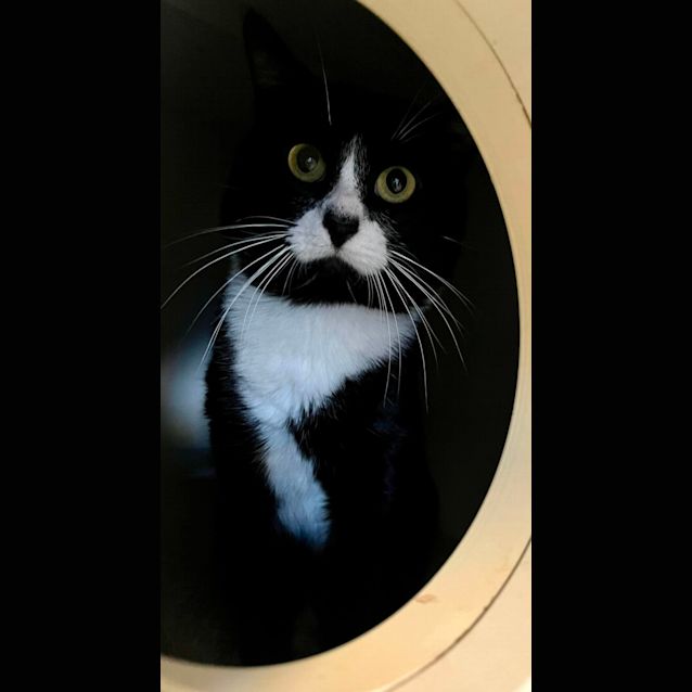 Photo of Atlas