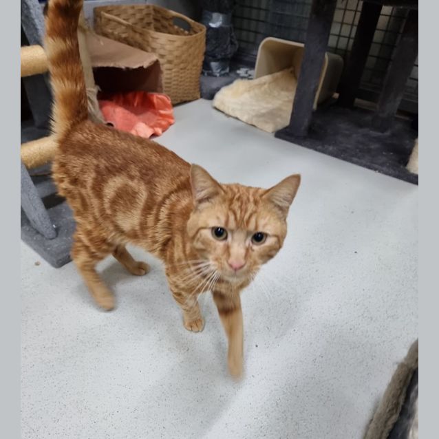 Photo of Wally