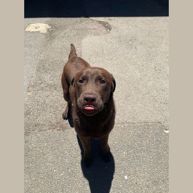 Photo of Coco