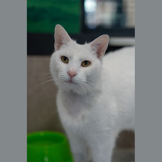 Photo of Kristoff