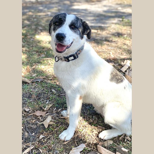 Photo of Polly