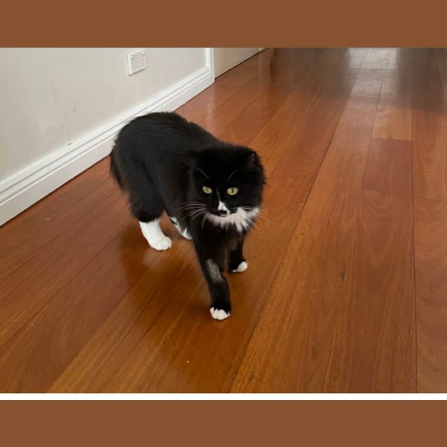 Photo of Mimi