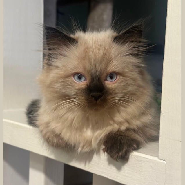 Photo of Kai 😻💙