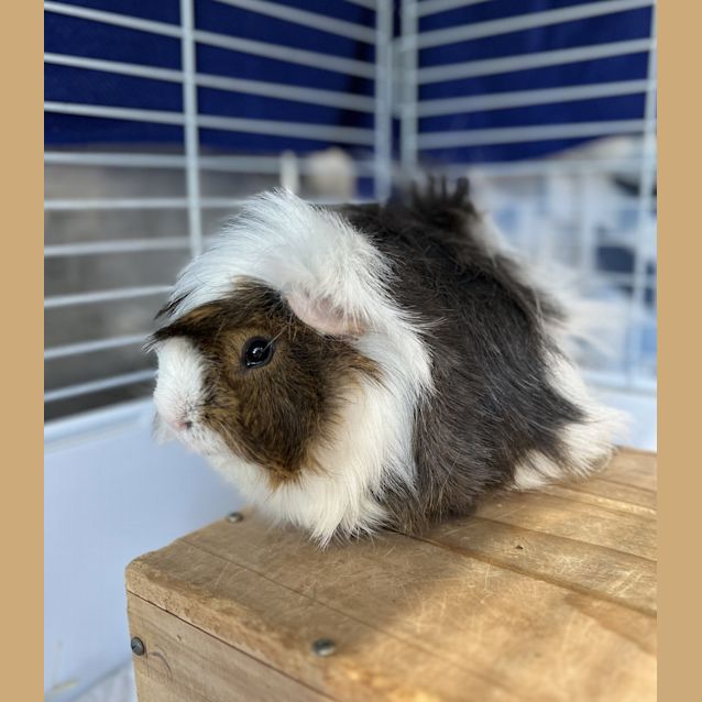 Photo of Zeke