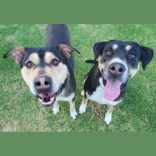 Photo of Kirby & Herbie