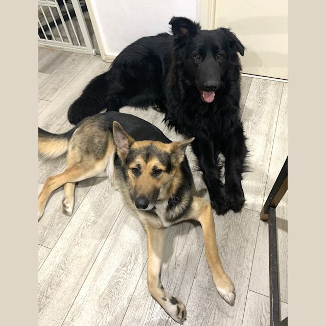 Photo of Billie & Archie