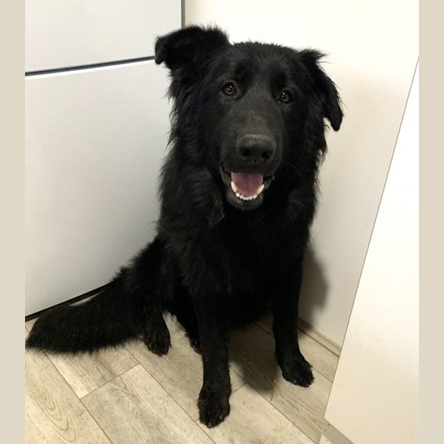 Photo of Billie & Archie