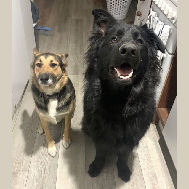 Photo of Billie & Archie